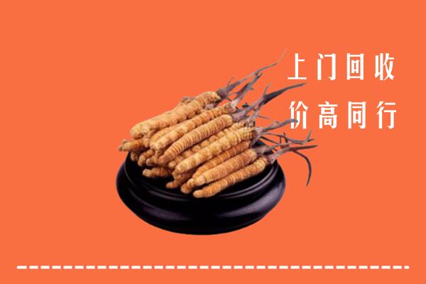 叙永县回收散虫草