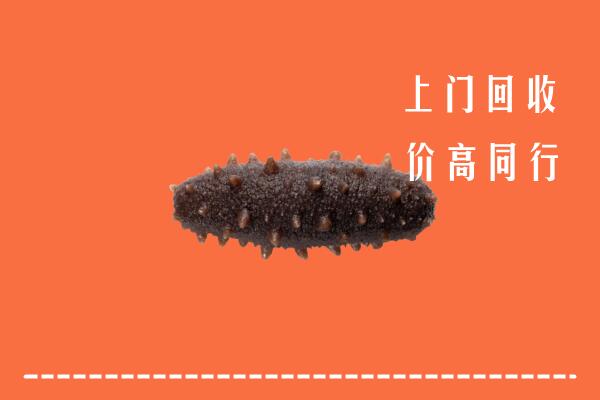 叙永县回收海参