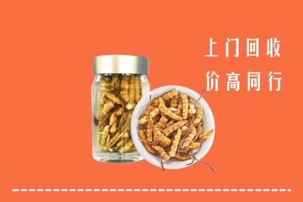 叙永县回收冬虫夏草
